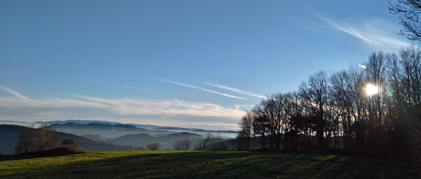 Gites Des Esselards Yzeron Bagian luar foto