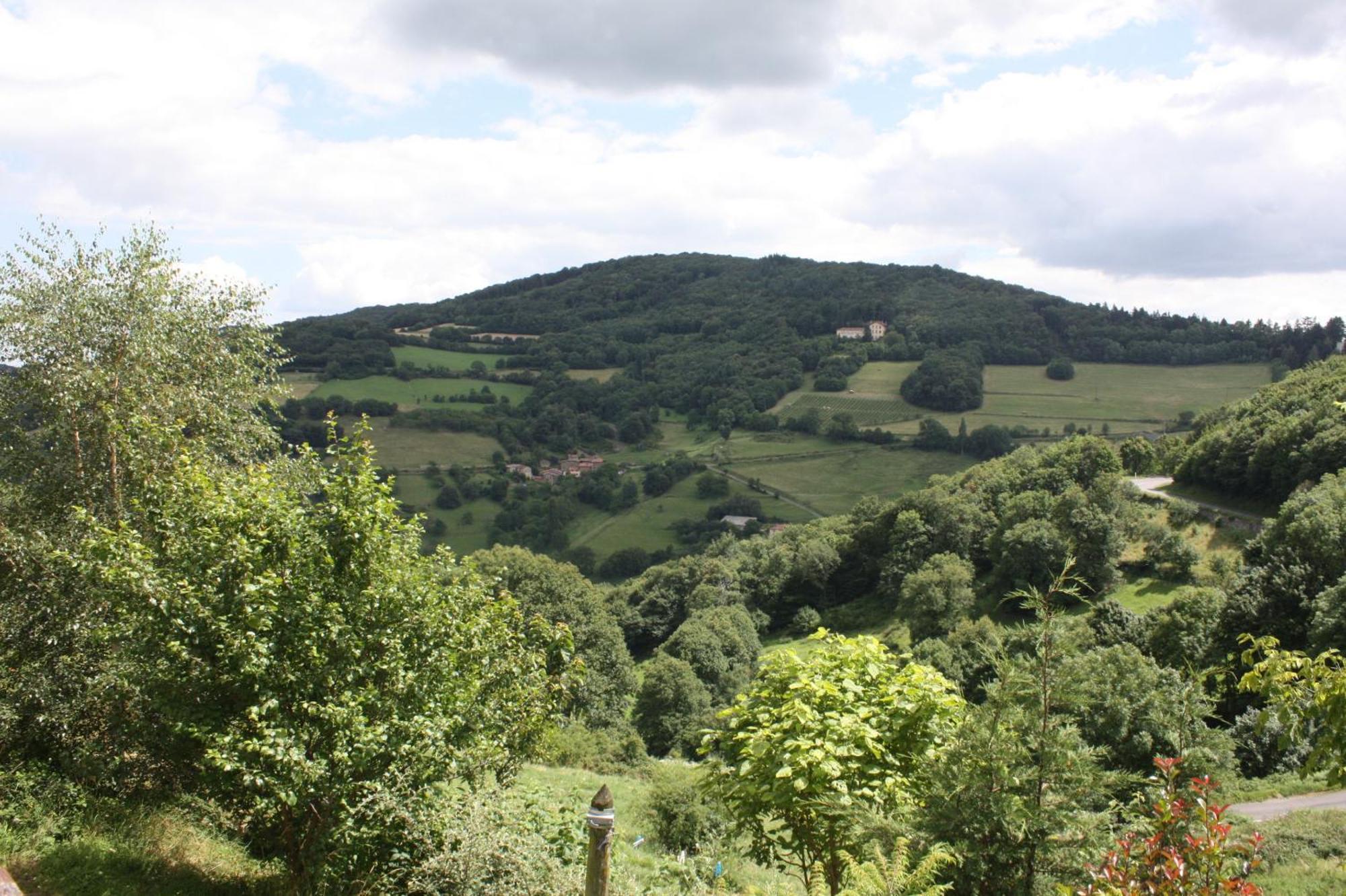 Gites Des Esselards Yzeron Bagian luar foto