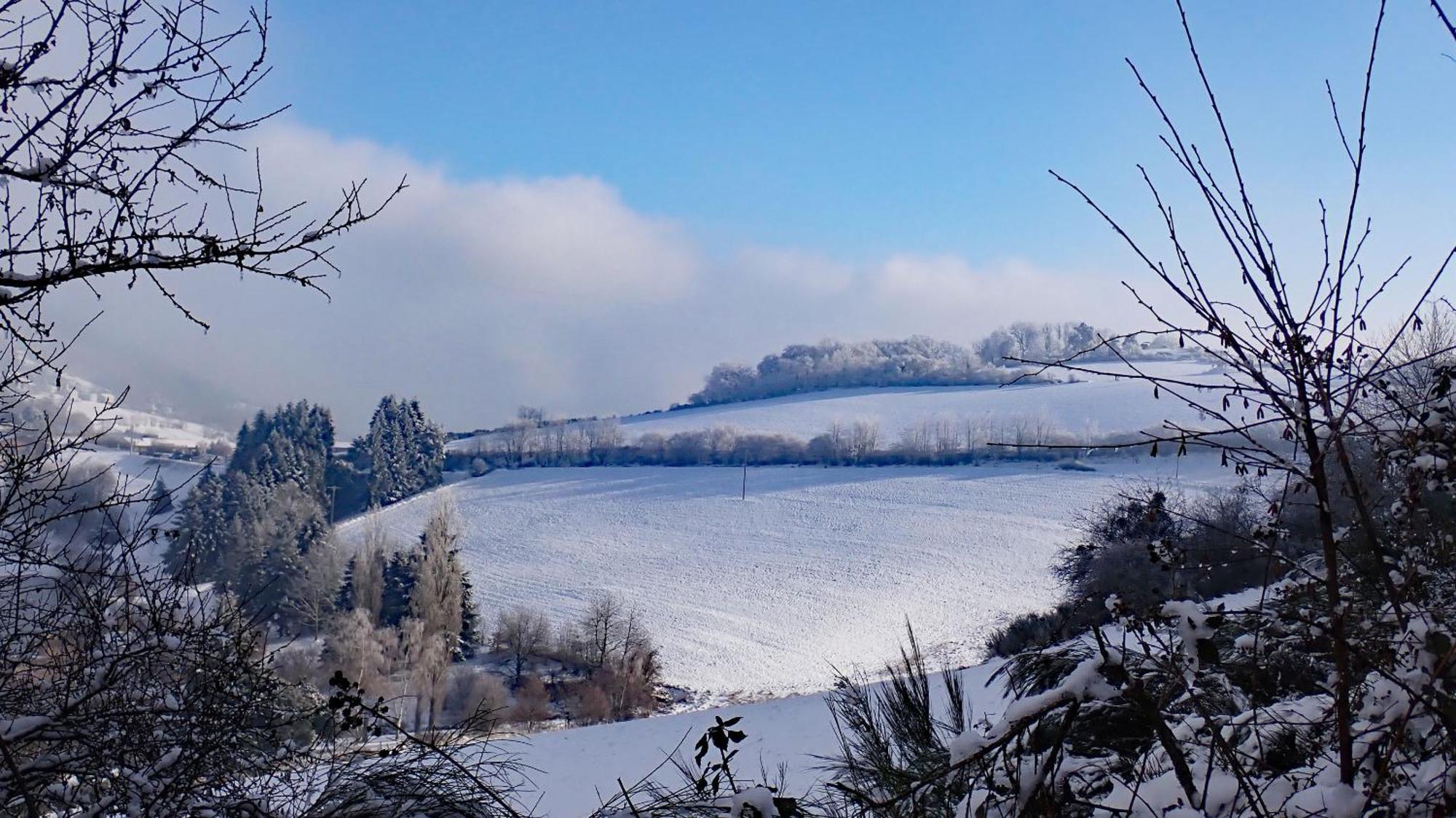 Gites Des Esselards Yzeron Bagian luar foto