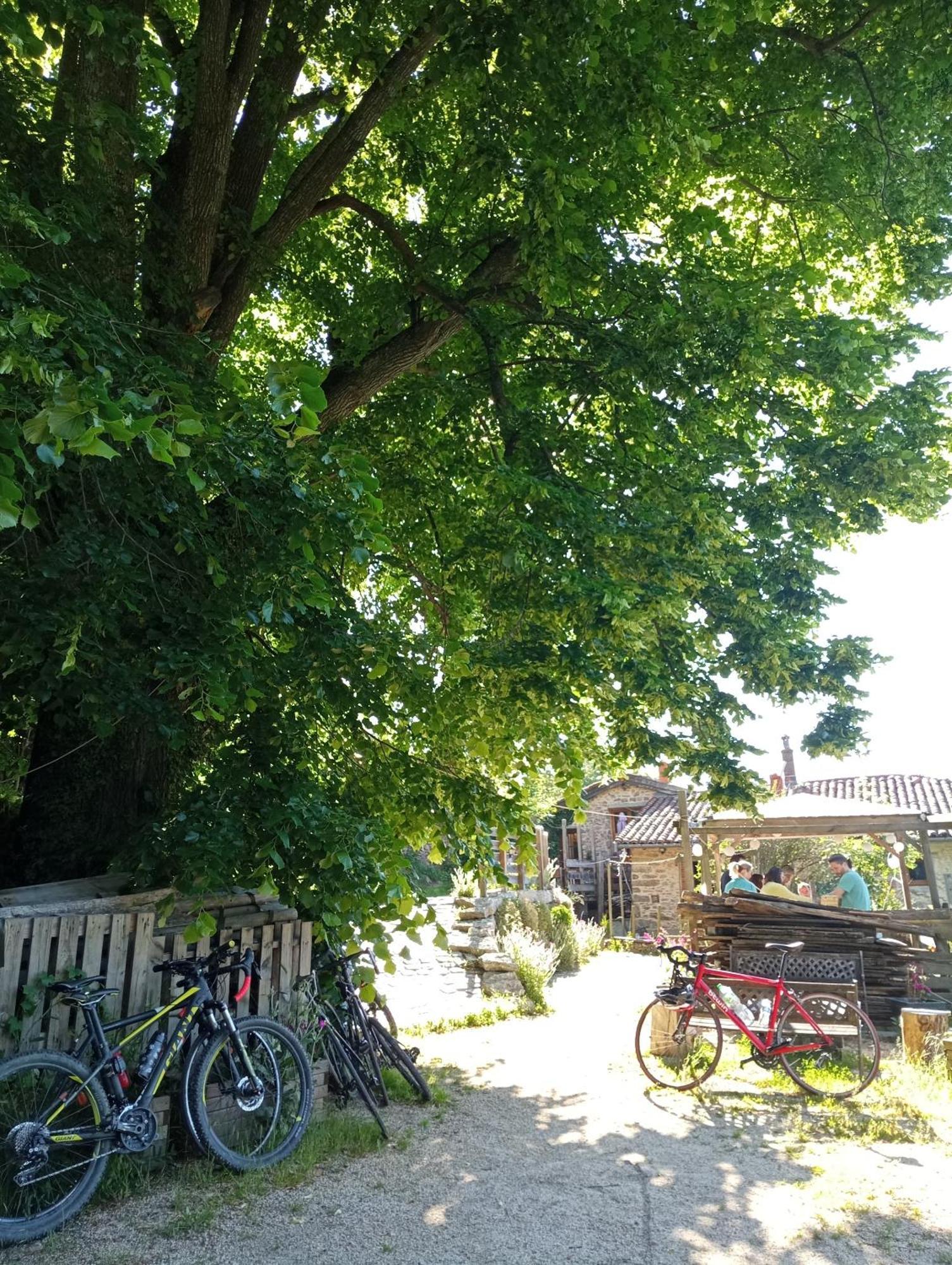 Gites Des Esselards Yzeron Bagian luar foto